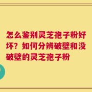 怎么鉴别灵芝孢子粉好坏？如何分辨破壁和没破壁的灵芝孢子粉