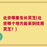 北京哪里生长灵芝(北京哪个地方能采到优质灵芝？)