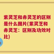 紫灵芝和赤灵芝的区别是什么图片(紫灵芝和赤灵芝：区别及功效对比)