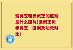 紫灵芝和赤灵芝的区别是什么图片(紫灵芝和赤灵芝：区别及功效对比)