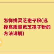 怎样挑灵芝孢子粉(选择高质量灵芝孢子粉的方法详解)