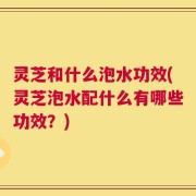 灵芝和什么泡水功效(灵芝泡水配什么有哪些功效？)