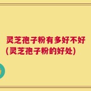 灵芝孢子粉有多好不好(灵芝孢子粉的好处)