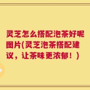 灵芝怎么搭配泡茶好呢图片(灵芝泡茶搭配建议，让茶味更浓郁！)