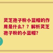 灵芝孢子粉小蓝帽的作用是什么？？解析灵芝孢子粉的小蓝帽？