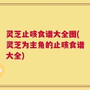 灵芝止咳食谱大全图(灵芝为主角的止咳食谱大全)
