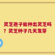 灵芝孢子能种出灵芝吗？灵芝种子几天发芽