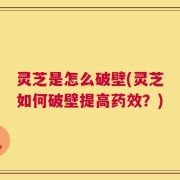 灵芝是怎么破壁(灵芝如何破壁提高药效？)
