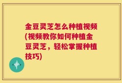 金豆灵芝怎么种植视频(视频教你如何种植金豆灵芝，轻松掌握种植技巧)