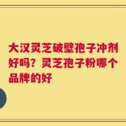 大汉灵芝破壁孢子冲剂好吗？灵芝孢子粉哪个品牌的好