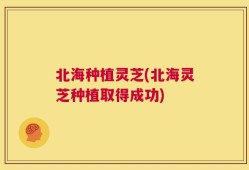 北海种植灵芝(北海灵芝种植取得成功)