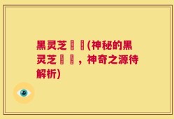 黑灵芝荳渼(神秘的黑灵芝荳渼，神奇之源待解析)