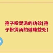 孢子粉煲汤的功效(孢子粉煲汤的健康益处)
