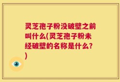 灵芝孢子粉没破壁之前叫什么(灵芝孢子粉未经破壁的名称是什么？)