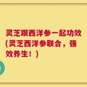 灵芝跟西洋参一起功效(灵芝西洋参联合，强效养生！)