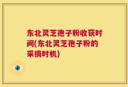 东北灵芝孢子粉收获时间(东北灵芝孢子粉的采摘时机)