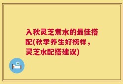 入秋灵芝煮水的最佳搭配(秋季养生好榜样，灵芝水配搭建议)