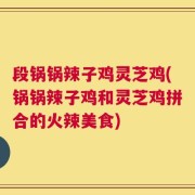 段锅锅辣子鸡灵芝鸡(锅锅辣子鸡和灵芝鸡拼合的火辣美食)