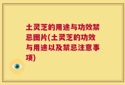 土灵芝的用途与功效禁忌图片(土灵芝的功效与用途以及禁忌注意事项)