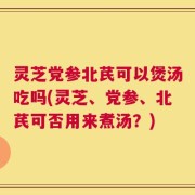 灵芝党参北芪可以煲汤吃吗(灵芝、党参、北芪可否用来煮汤？)