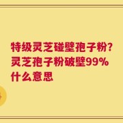 特级灵芝碰壁孢子粉？灵芝孢子粉破壁99%什么意思