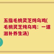五指毛桃灵芝炖乌鸡(毛桃灵芝炖乌鸡：一道滋补养生汤)