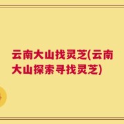 云南大山找灵芝(云南大山探索寻找灵芝)