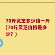 70斤灵芝多少钱一斤(70斤灵芝价格是多少？)
