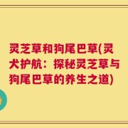灵芝草和狗尾巴草(灵犬护航：探秘灵芝草与狗尾巴草的养生之道)
