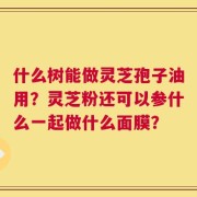 什么树能做灵芝孢子油用？灵芝粉还可以参什么一起做什么面膜？