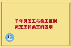 千年灵芝王与桑王区别灵芝王和桑王的区别