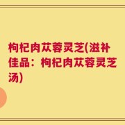 枸杞肉苁蓉灵芝(滋补佳品：枸杞肉苁蓉灵芝汤)