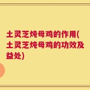 土灵芝炖母鸡的作用(土灵芝炖母鸡的功效及益处)