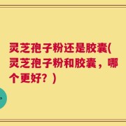 灵芝孢子粉还是胶囊(灵芝孢子粉和胶囊，哪个更好？)