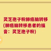 灵芝孢子粉肺癌脑转移(肺癌脑转移患者的福音：灵芝孢子粉)