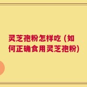 灵芝孢粉怎样吃 (如何正确食用灵芝孢粉)