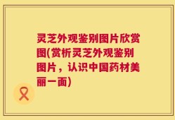 灵芝外观鉴别图片欣赏图(赏析灵芝外观鉴别图片，认识中国药材美丽一面)
