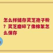 怎么样储存灵芝孢子粉？灵芝磨碎了像棉絮怎么保存
