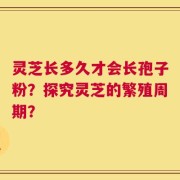 灵芝长多久才会长孢子粉？探究灵芝的繁殖周期？