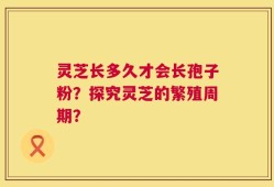 灵芝长多久才会长孢子粉？探究灵芝的繁殖周期？