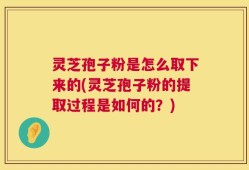灵芝孢子粉是怎么取下来的(灵芝孢子粉的提取过程是如何的？)