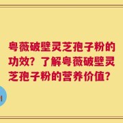 粤薇破壁灵芝孢子粉的功效？了解粤薇破壁灵芝孢子粉的营养价值？