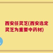 西安任灵芝(西安选定灵芝为重要中药材)