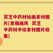 灵芝中药材绘画素材图片(素雅画风  灵芝中药材手绘素材图片收集)