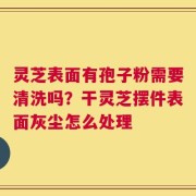 灵芝表面有孢子粉需要清洗吗？干灵芝摆件表面灰尘怎么处理