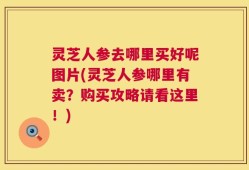 灵芝人参去哪里买好呢图片(灵芝人参哪里有卖？购买攻略请看这里！)