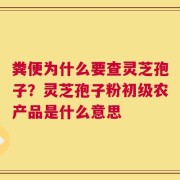 粪便为什么要查灵芝孢子？灵芝孢子粉初级农产品是什么意思