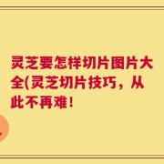 灵芝要怎样切片图片大全(灵芝切片技巧，从此不再难！