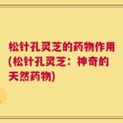 松针孔灵芝的药物作用(松针孔灵芝：神奇的天然药物)