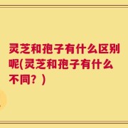 灵芝和孢子有什么区别呢(灵芝和孢子有什么不同？)